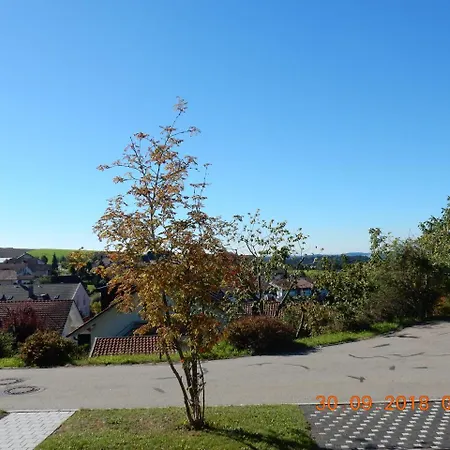 Fernblick Neukirchen vorm Wald
