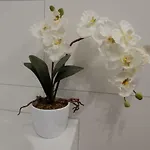 Fernblick 아파트